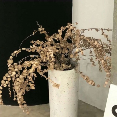 兽设洞穴场景绘制兽圈社群